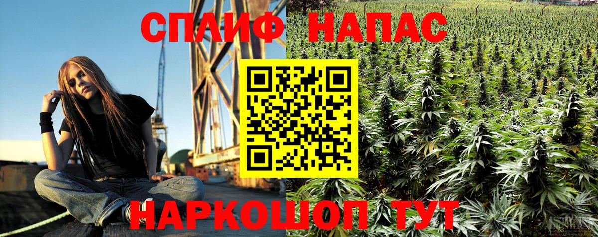 Марихуана OG Kush Краснознаменск